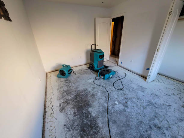 Best Water damage restoration near me  in Chandler, TX