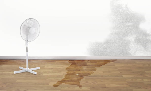 Best Local water damage restoration  in Chandler, TX