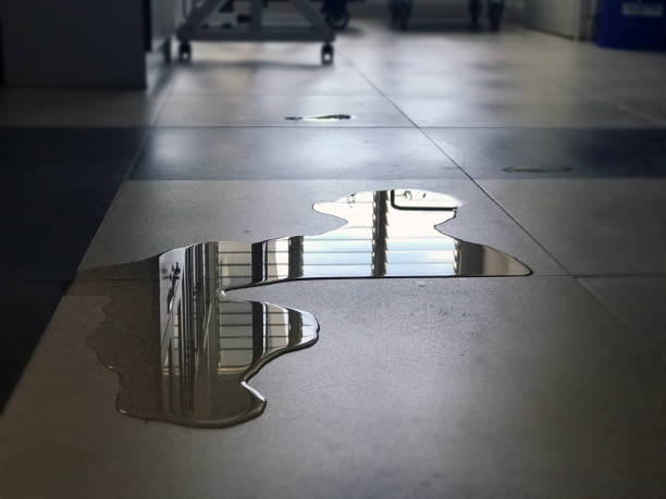Professional Water damage restoration in Chandler, TX