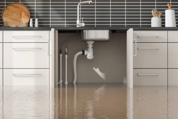 Best Sewage cleanup and water damage restoration  in Chandler, TX